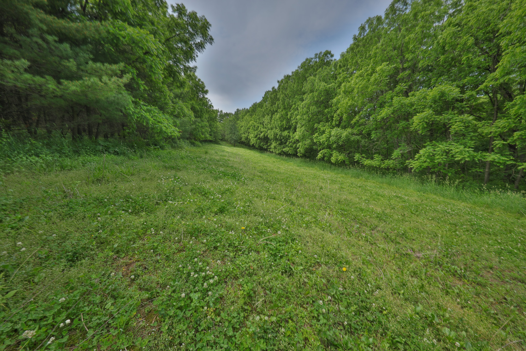 Recreational Paradise in the Driftless Area – 40-Acre Haven in Vernon County, WI