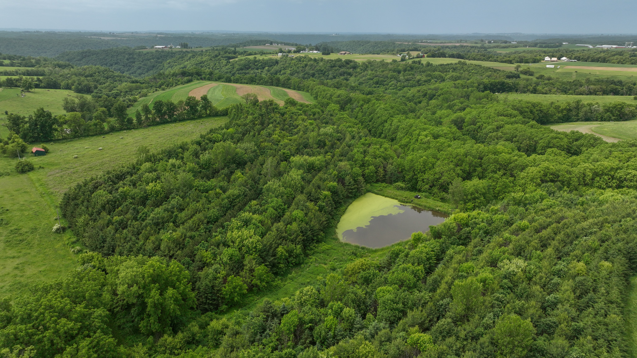 Recreational Paradise in the Driftless Area – 40-Acre Haven in Vernon County, WI