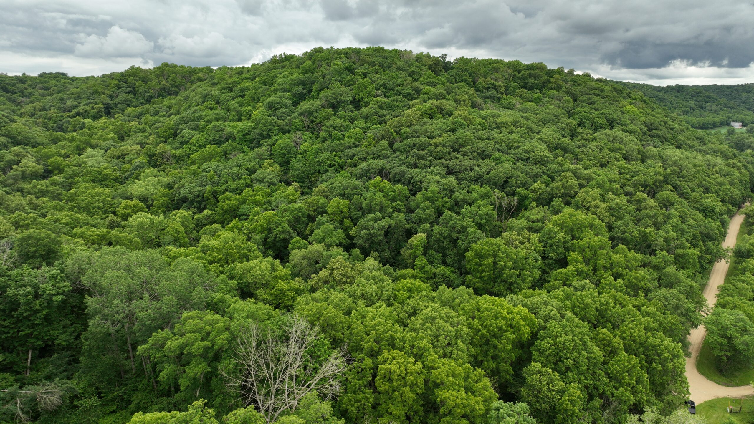 Rustic Woodland Cottage for Sale in Crawford County, WI – 12-Acre Driftless Region Retreat