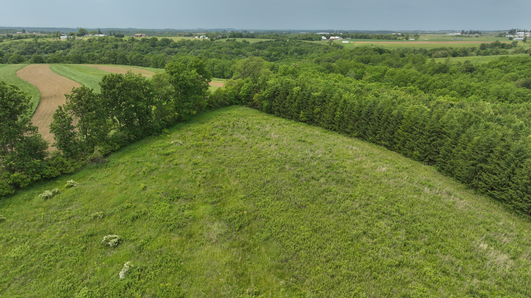 Recreational Paradise in the Driftless Area – 40-Acre Haven in Vernon County, WI