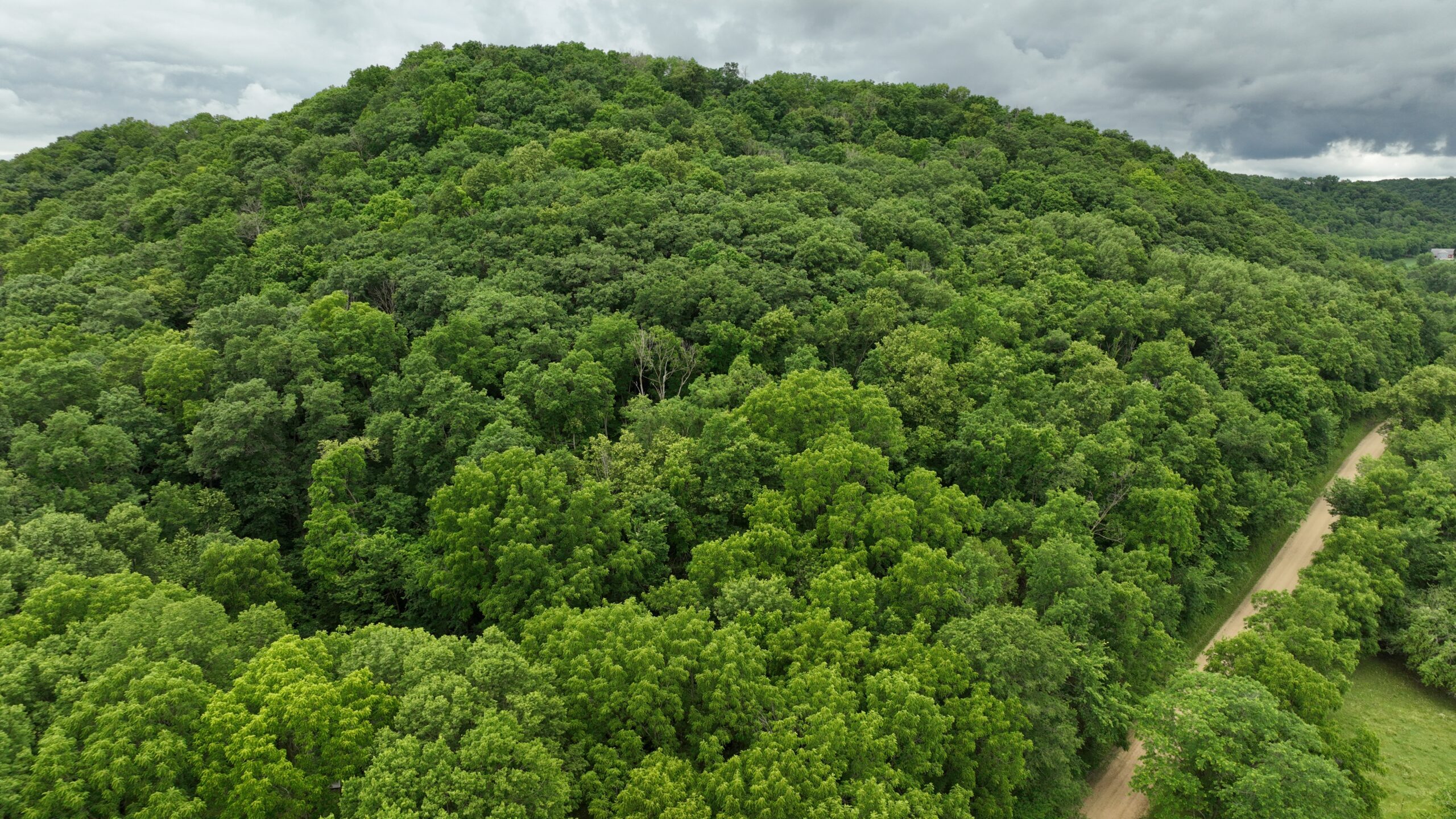Rustic Woodland Cottage for Sale in Crawford County, WI – 12-Acre Driftless Region Retreat