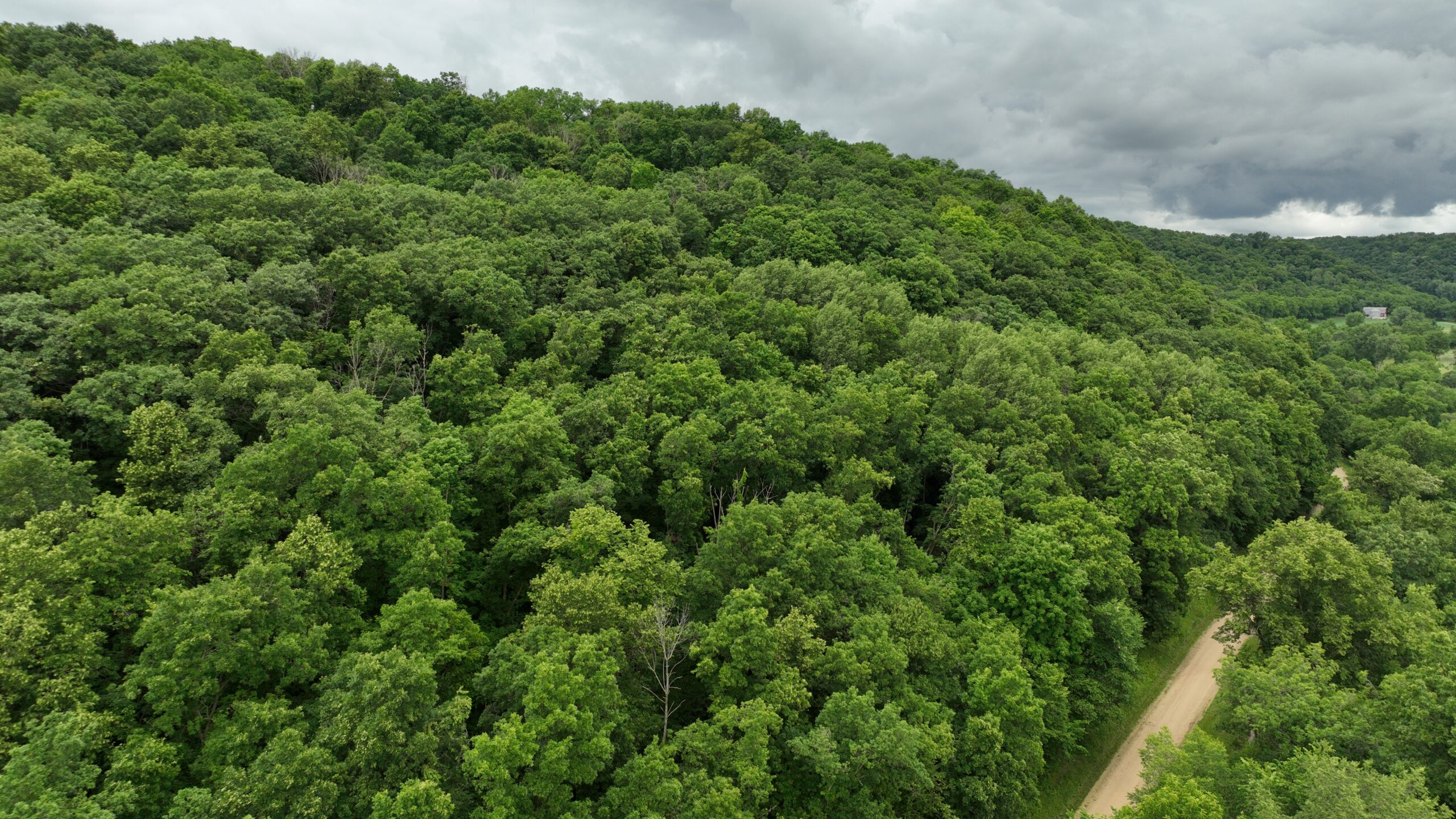 Rustic Woodland Cottage for Sale in Crawford County, WI – 12-Acre Driftless Region Retreat