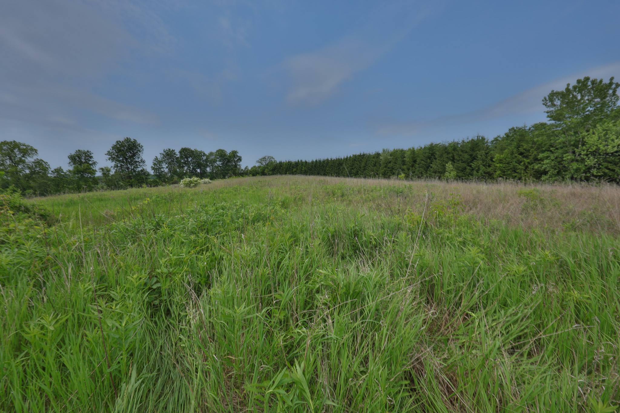 Recreational Paradise in the Driftless Area – 40-Acre Haven in Vernon County, WI