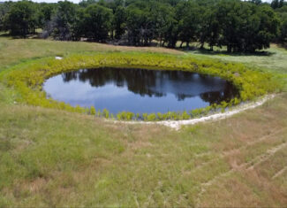 Own a Stunning Piece of Central Texas Land – Build, Hunt, or Escape