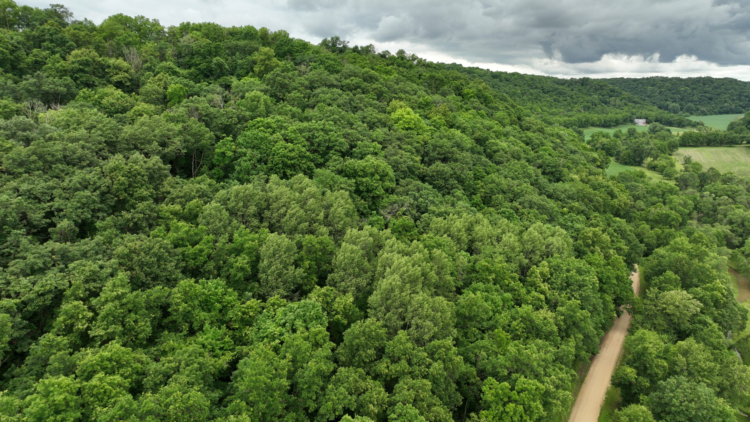Rustic Woodland Cottage for Sale in Crawford County, WI – 12-Acre Driftless Region Retreat