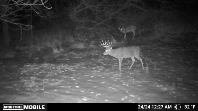 Recreational Paradise in the Driftless Area – 40-Acre Haven in Vernon County, WI