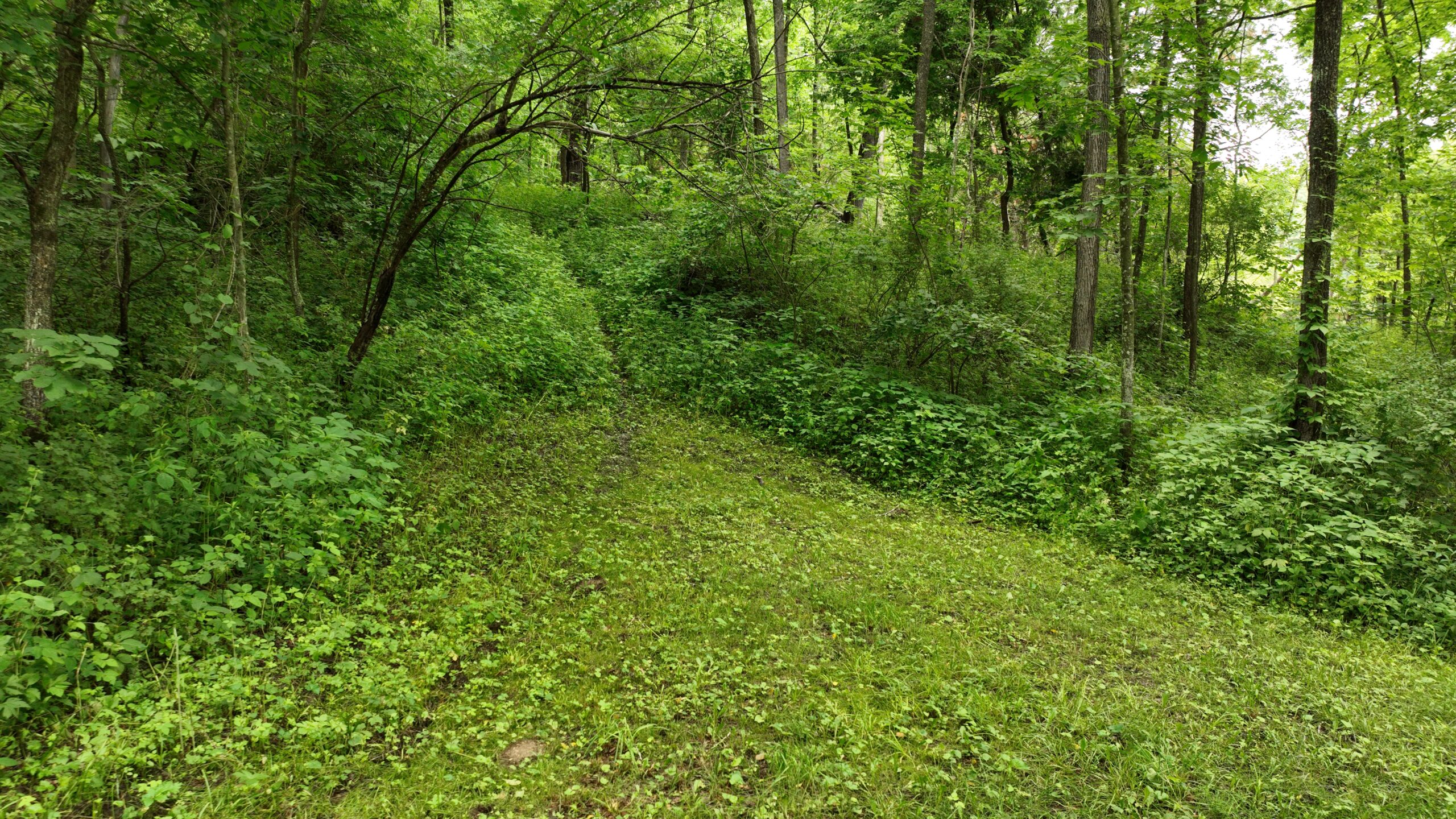 Rustic Woodland Cottage for Sale in Crawford County, WI – 12-Acre Driftless Region Retreat