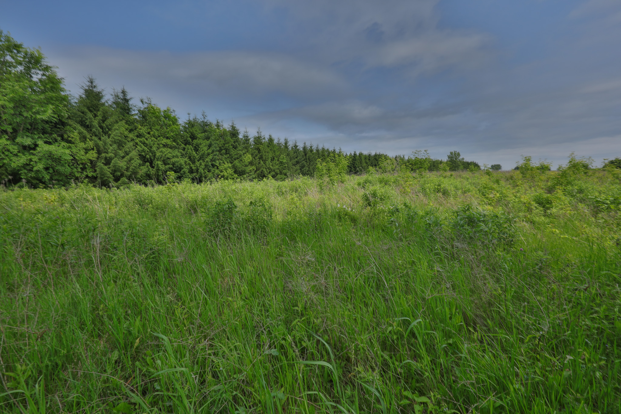 Recreational Paradise in the Driftless Area – 40-Acre Haven in Vernon County, WI