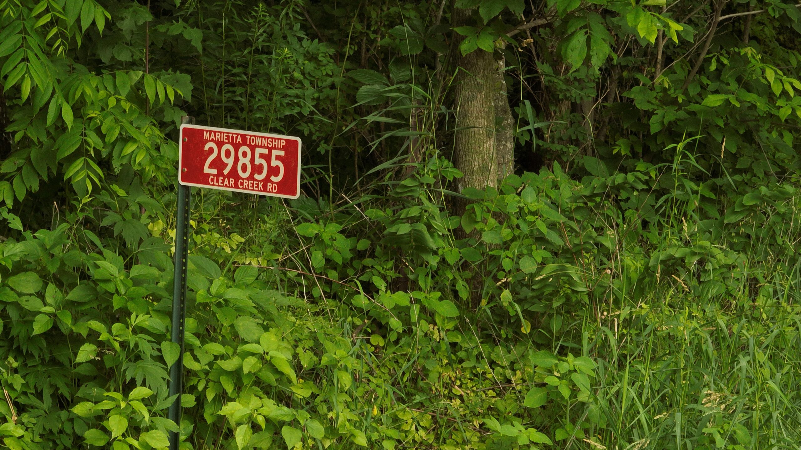 Rustic Woodland Cottage for Sale in Crawford County, WI – 12-Acre Driftless Region Retreat