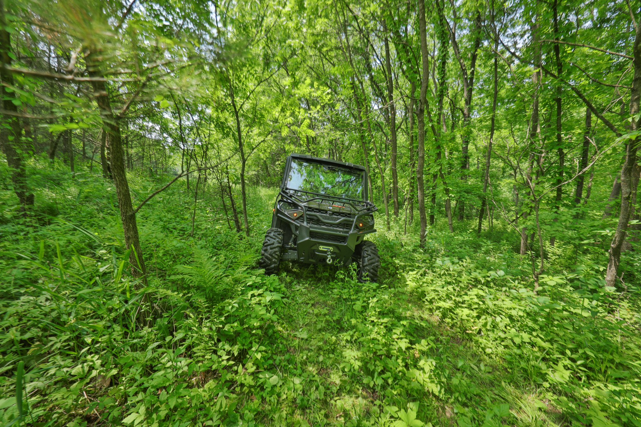 Recreational Paradise in the Driftless Area – 40-Acre Haven in Vernon County, WI