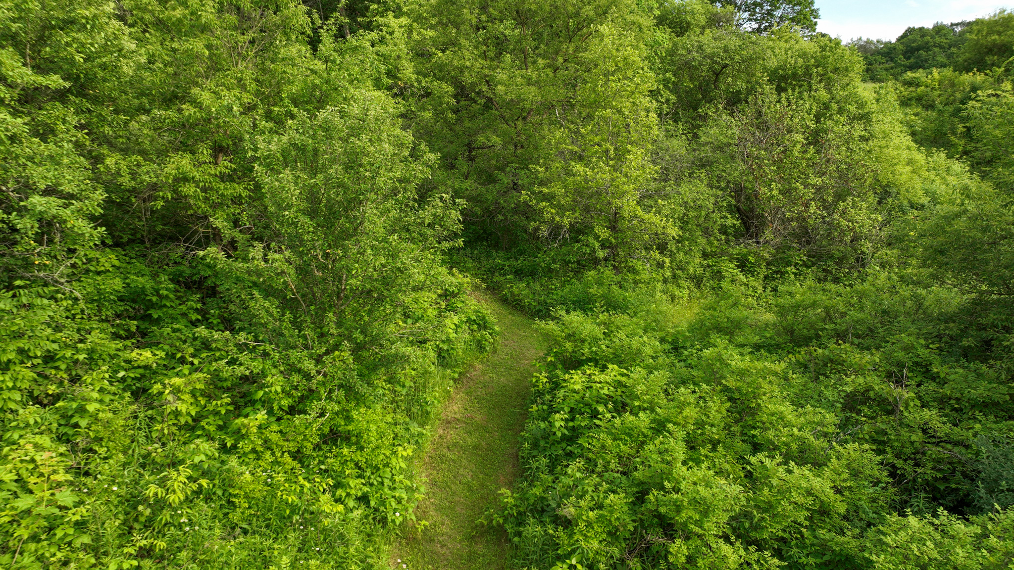 Scenic Country Home & Recreational Paradise Near Wildcat Mountain State Park – 21.78 Acres in Vernon County, WI