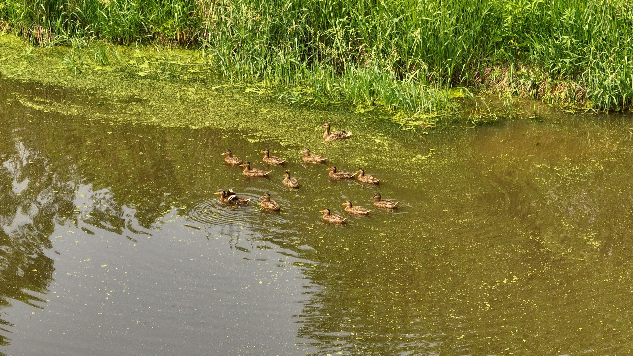 Recreational Paradise in the Driftless Area – 40-Acre Haven in Vernon County, WI
