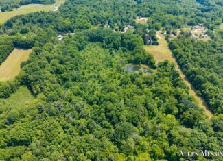 31+ Acre Property Excellent Hunting Habitat Allegan Cty MI