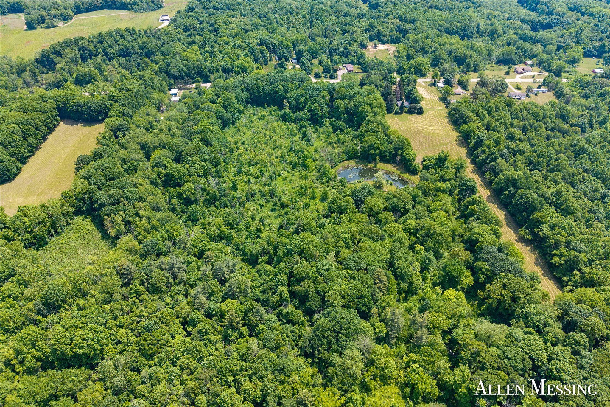 31+ Acre Property Excellent Hunting Habitat Allegan Cty MI