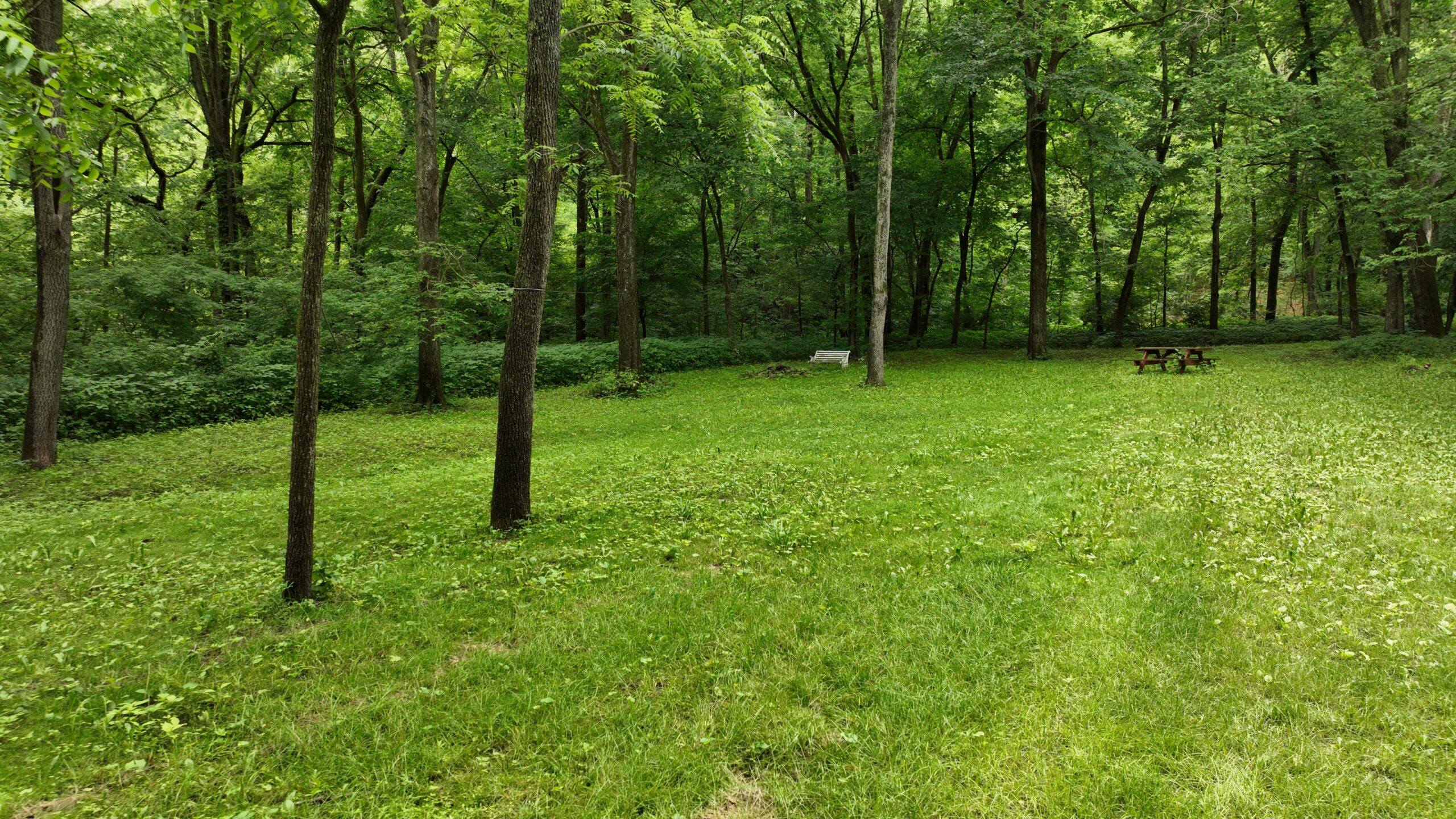 Rustic Woodland Cottage for Sale in Crawford County, WI – 12-Acre Driftless Region Retreat