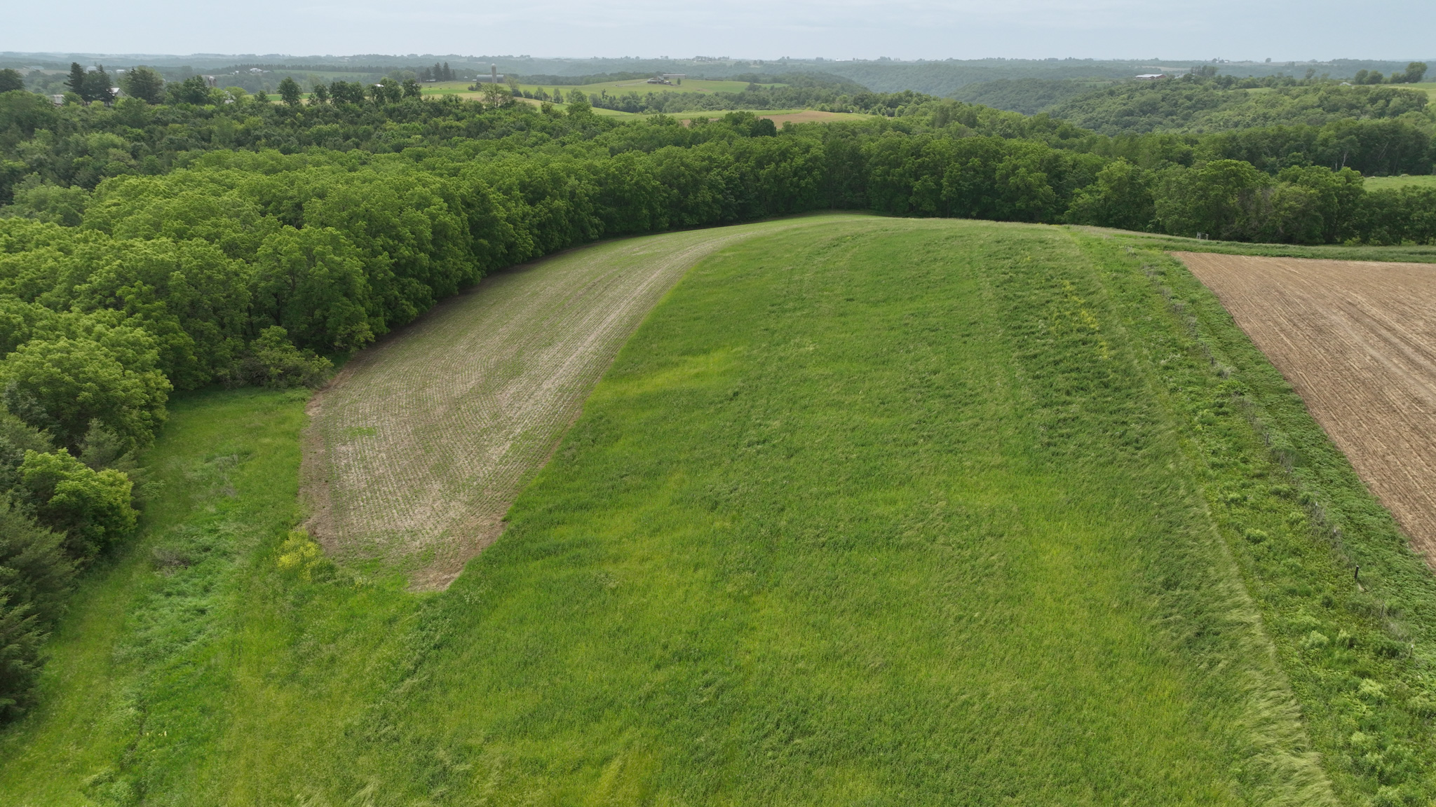 Recreational Paradise in the Driftless Area – 40-Acre Haven in Vernon County, WI