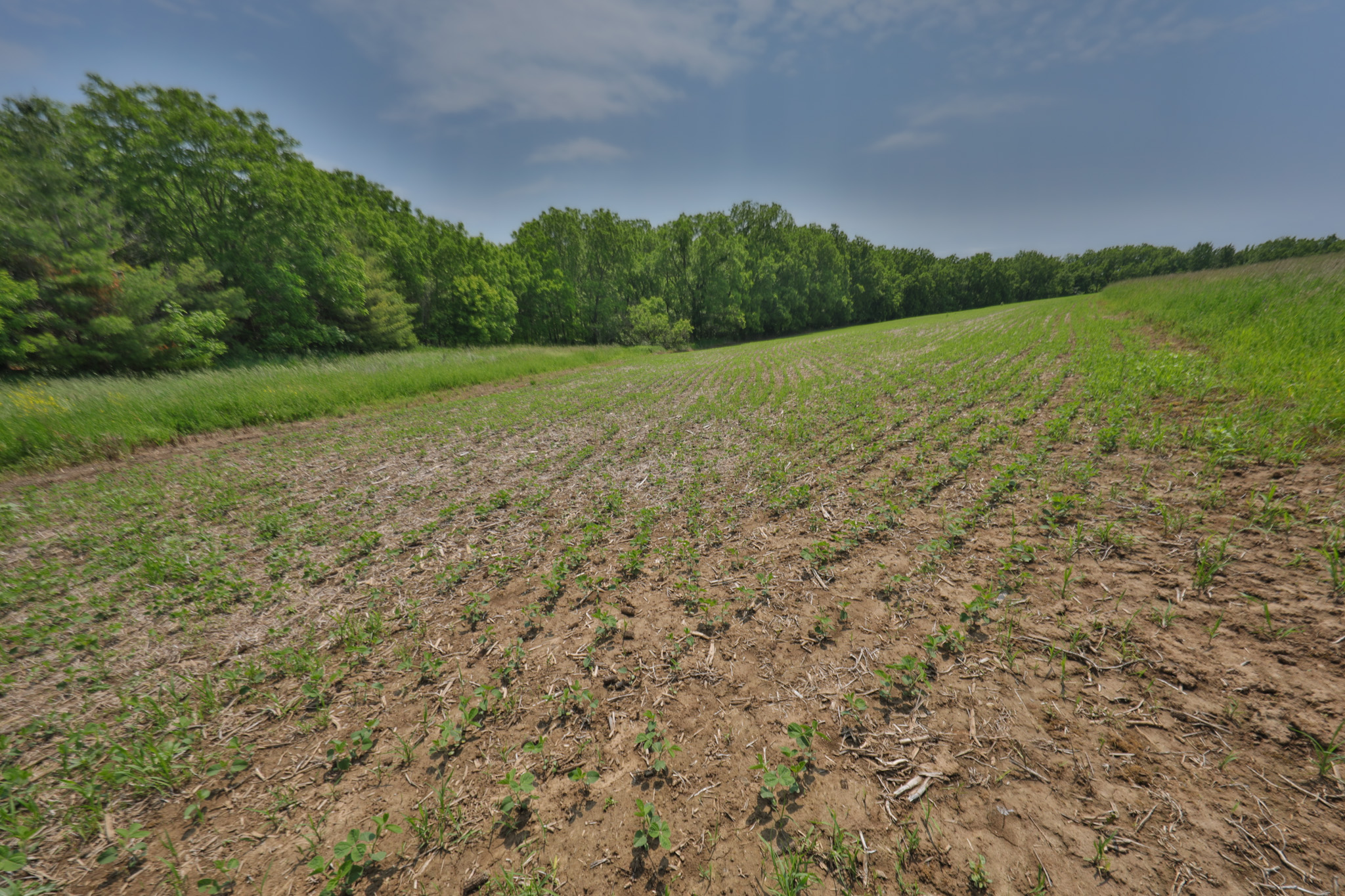 Recreational Paradise in the Driftless Area – 40-Acre Haven in Vernon County, WI
