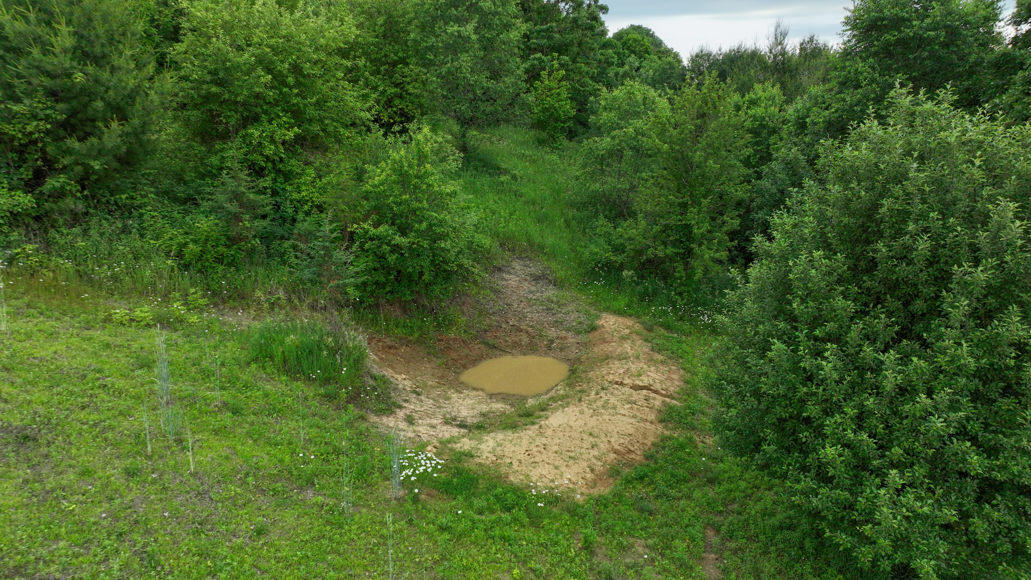 Scenic Country Home & Recreational Paradise Near Wildcat Mountain State Park – 21.78 Acres in Vernon County, WI