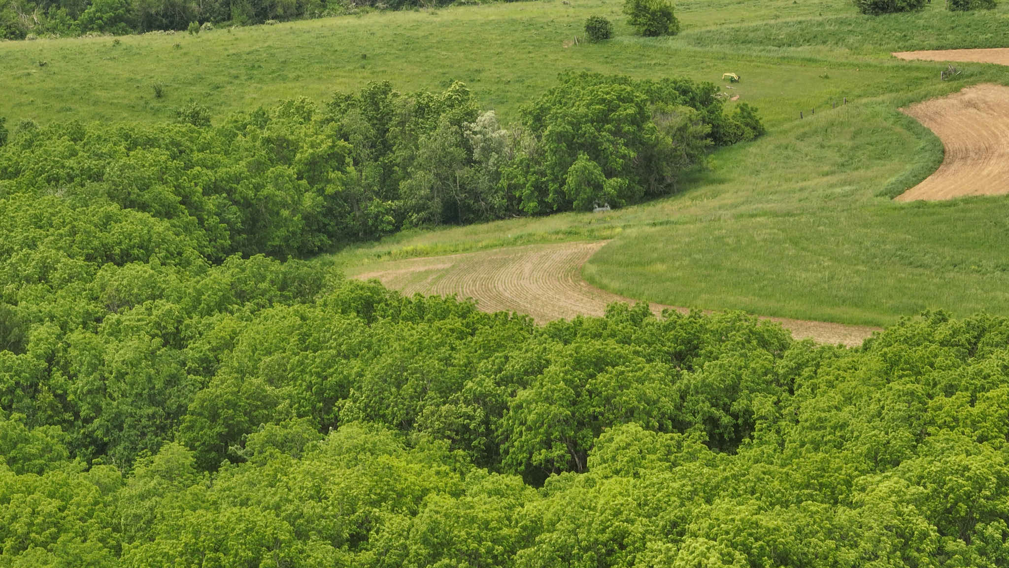 Recreational Paradise in the Driftless Area – 40-Acre Haven in Vernon County, WI