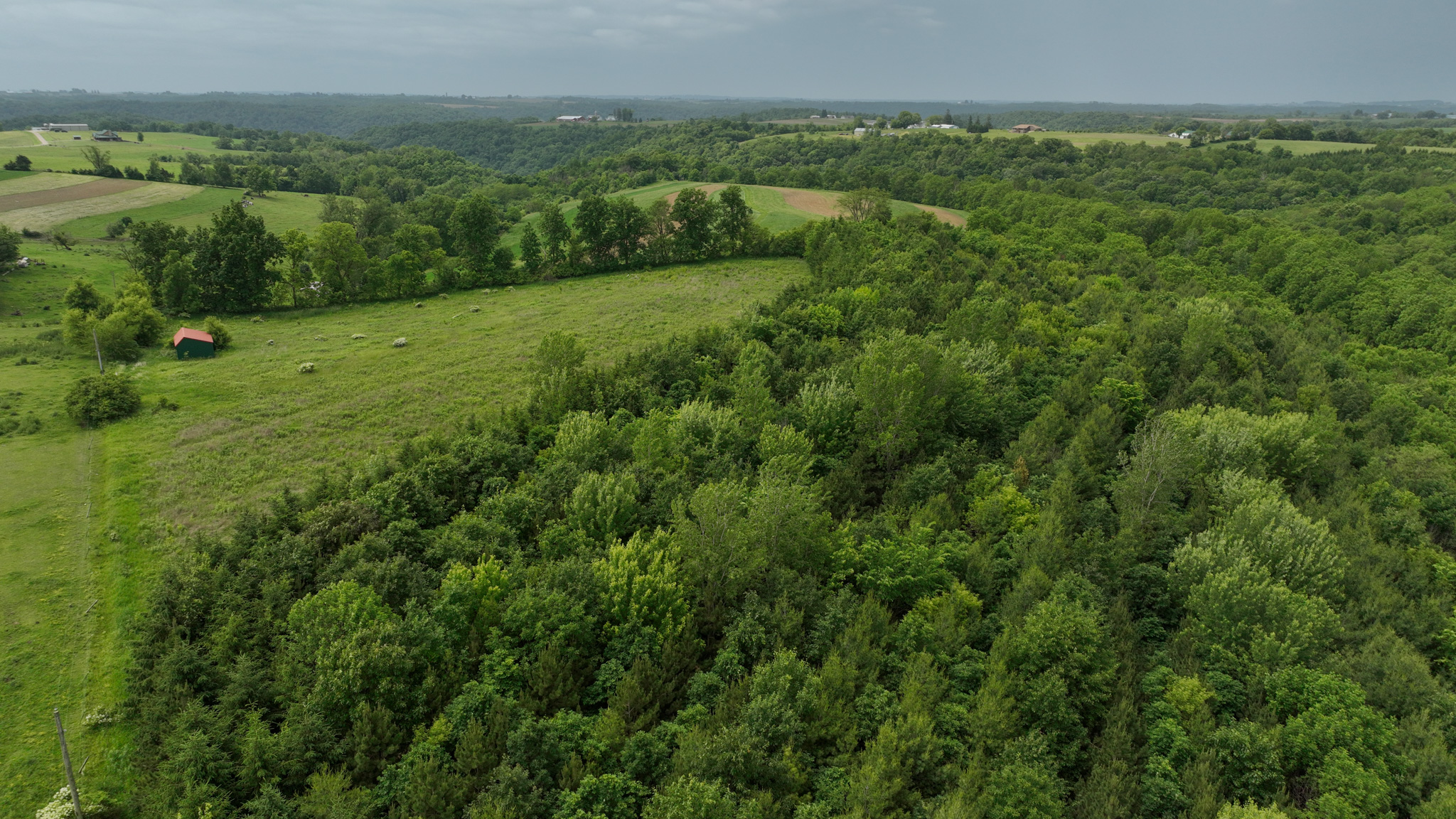 Recreational Paradise in the Driftless Area – 40-Acre Haven in Vernon County, WI
