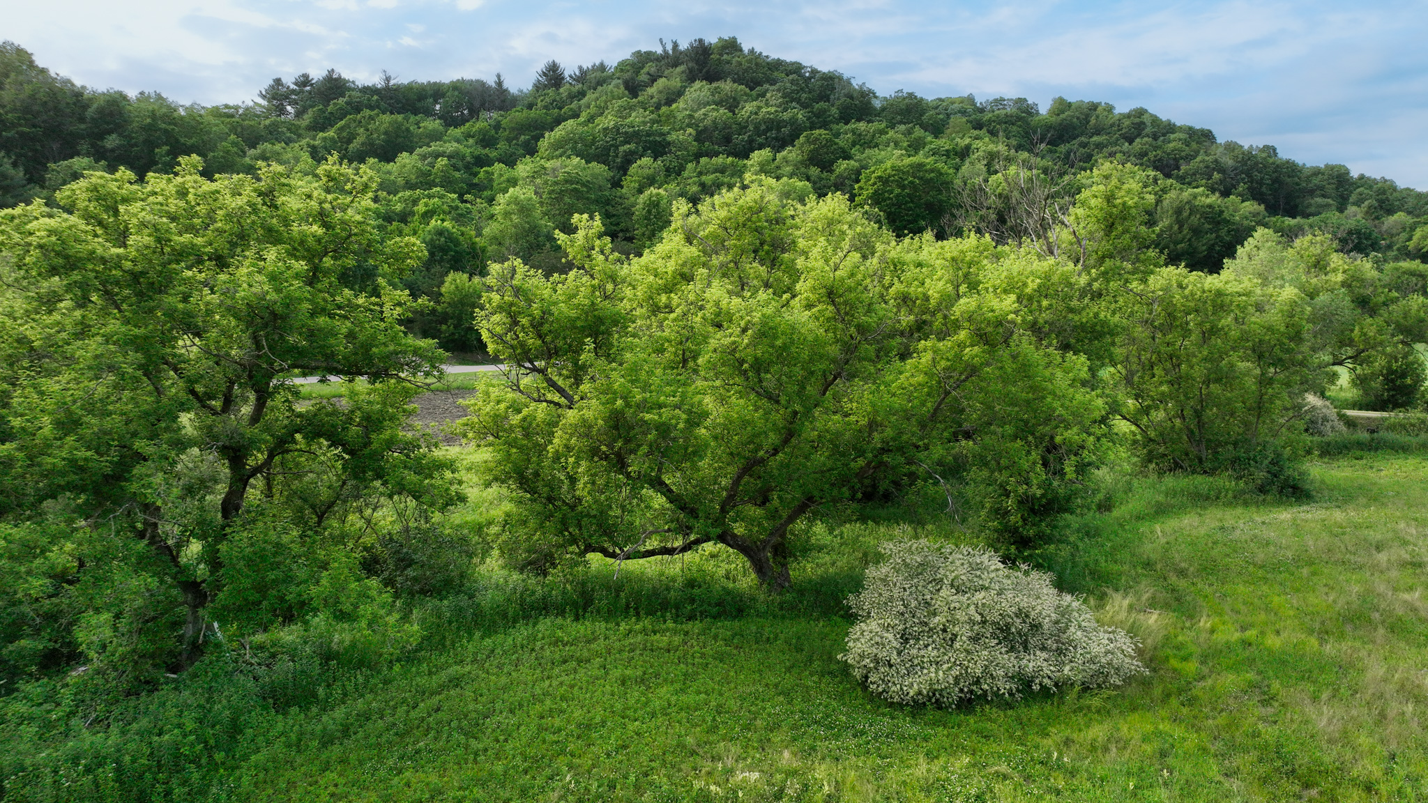 Scenic Country Home & Recreational Paradise Near Wildcat Mountain State Park – 21.78 Acres in Vernon County, WI