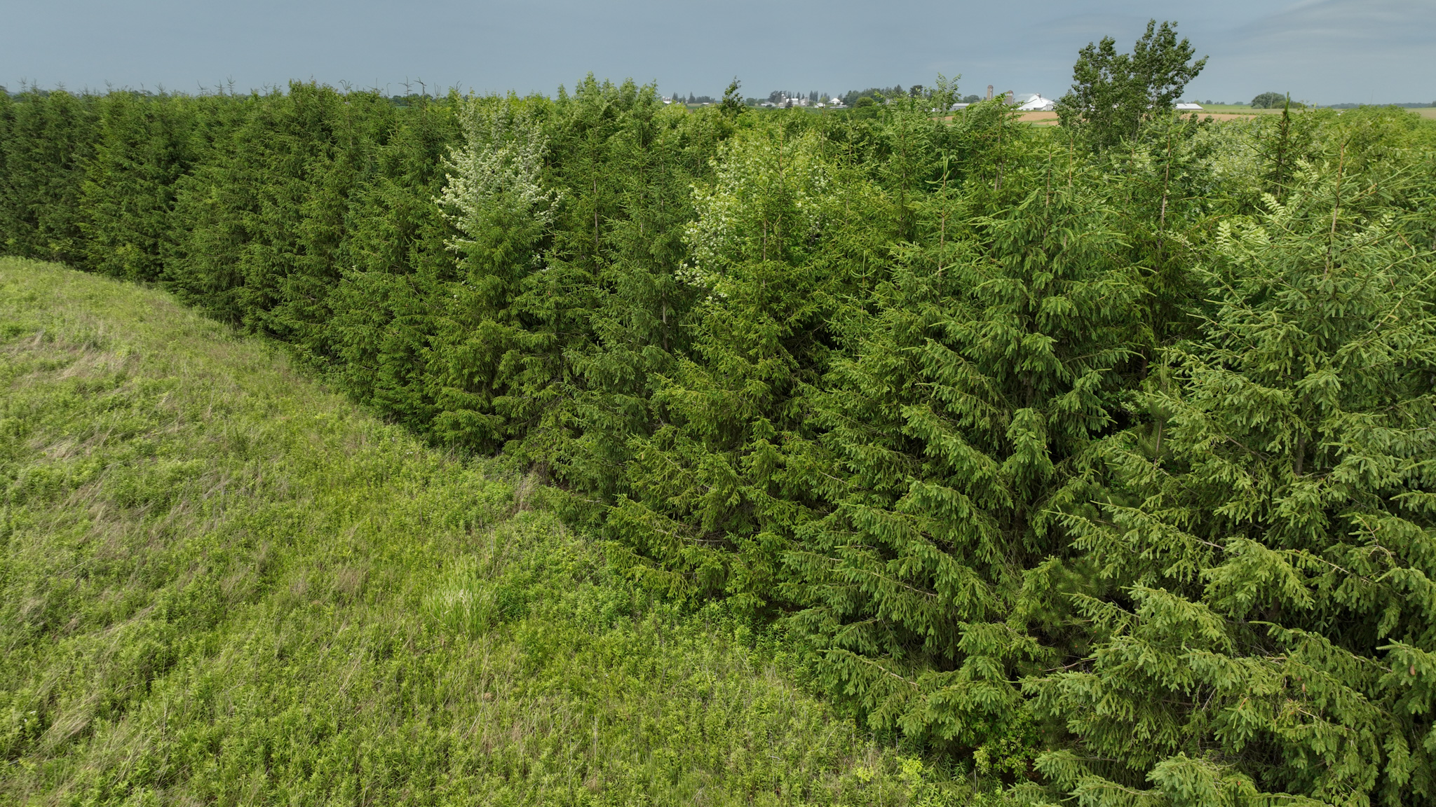 Recreational Paradise in the Driftless Area – 40-Acre Haven in Vernon County, WI