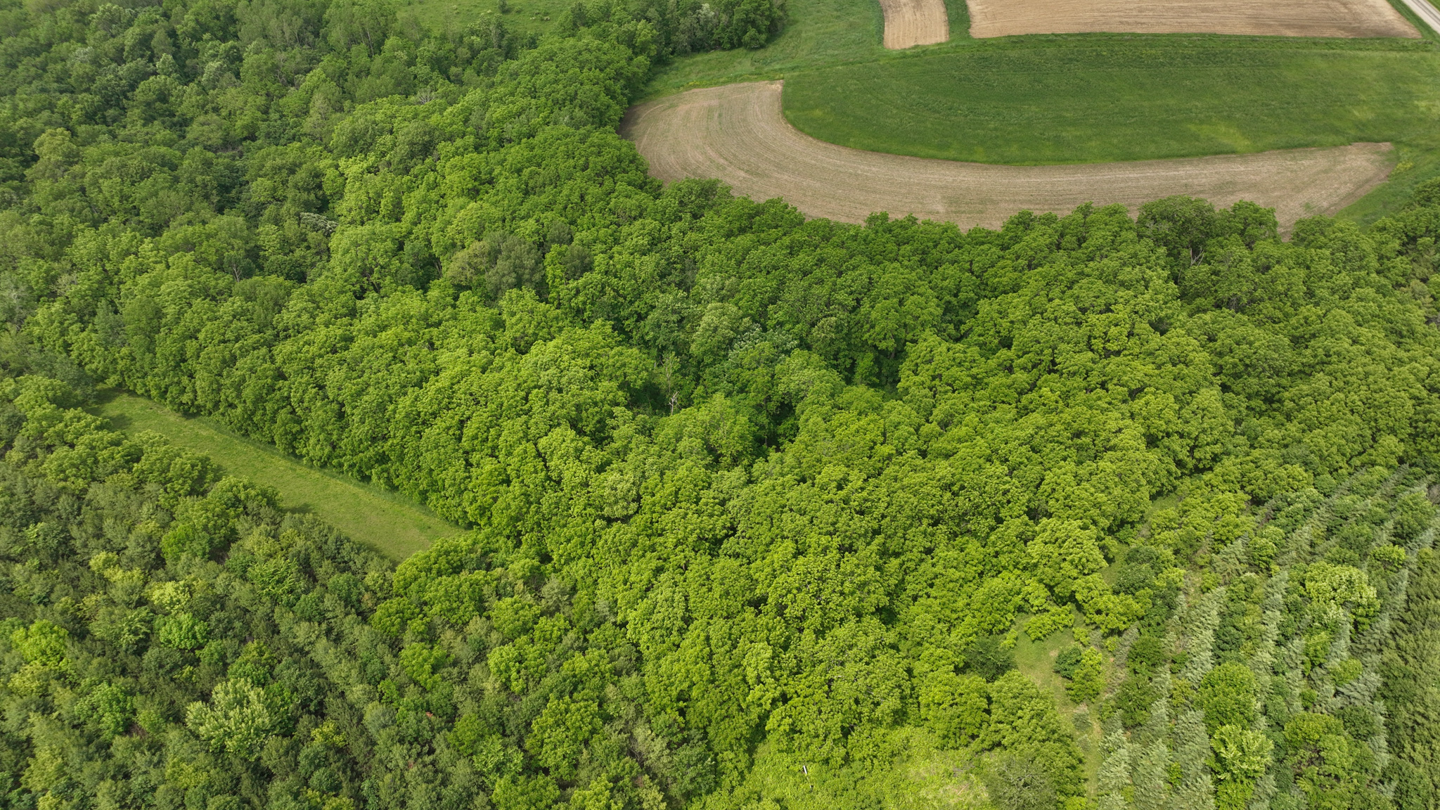 Recreational Paradise in the Driftless Area – 40-Acre Haven in Vernon County, WI