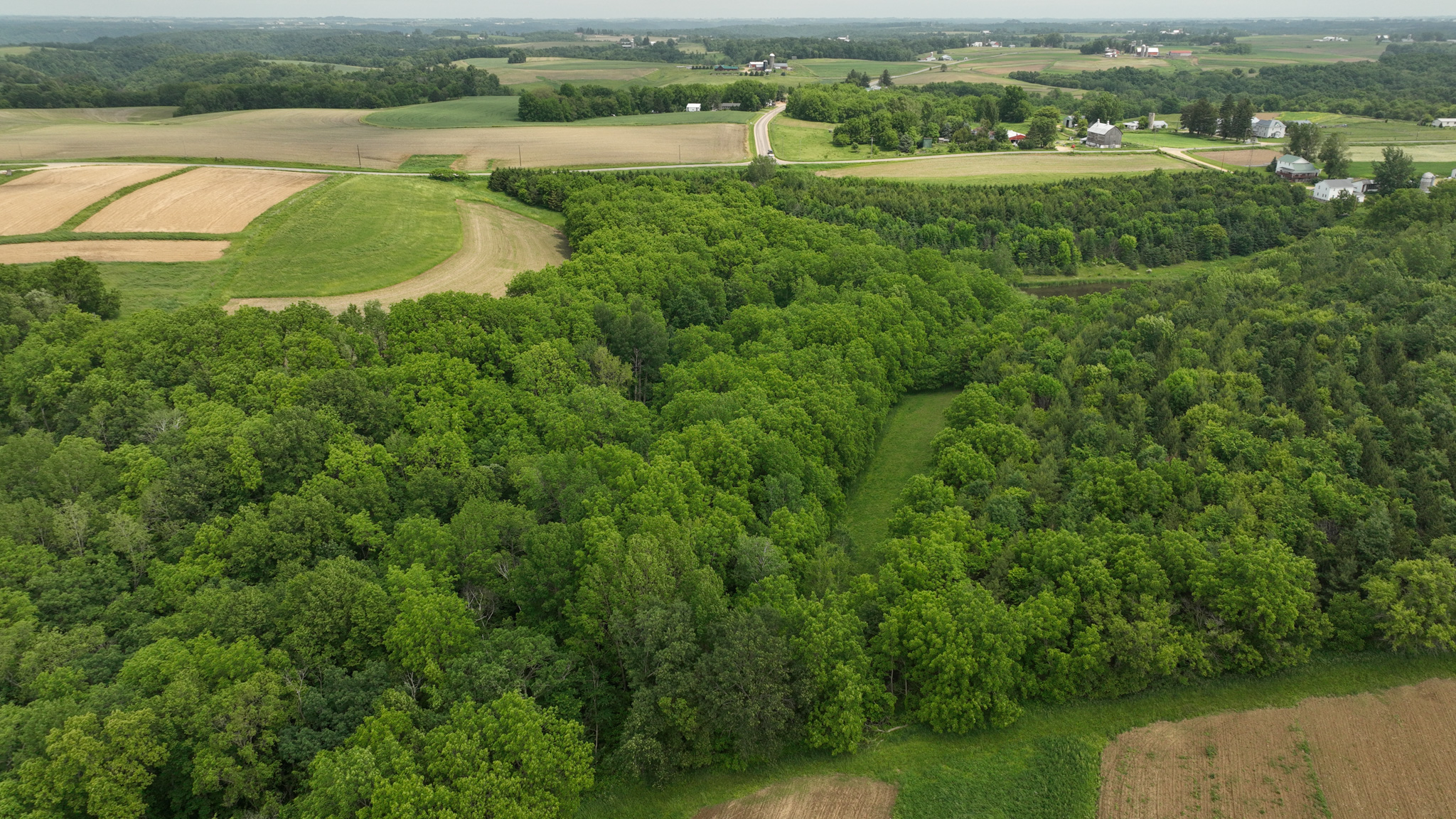 Recreational Paradise in the Driftless Area – 40-Acre Haven in Vernon County, WI