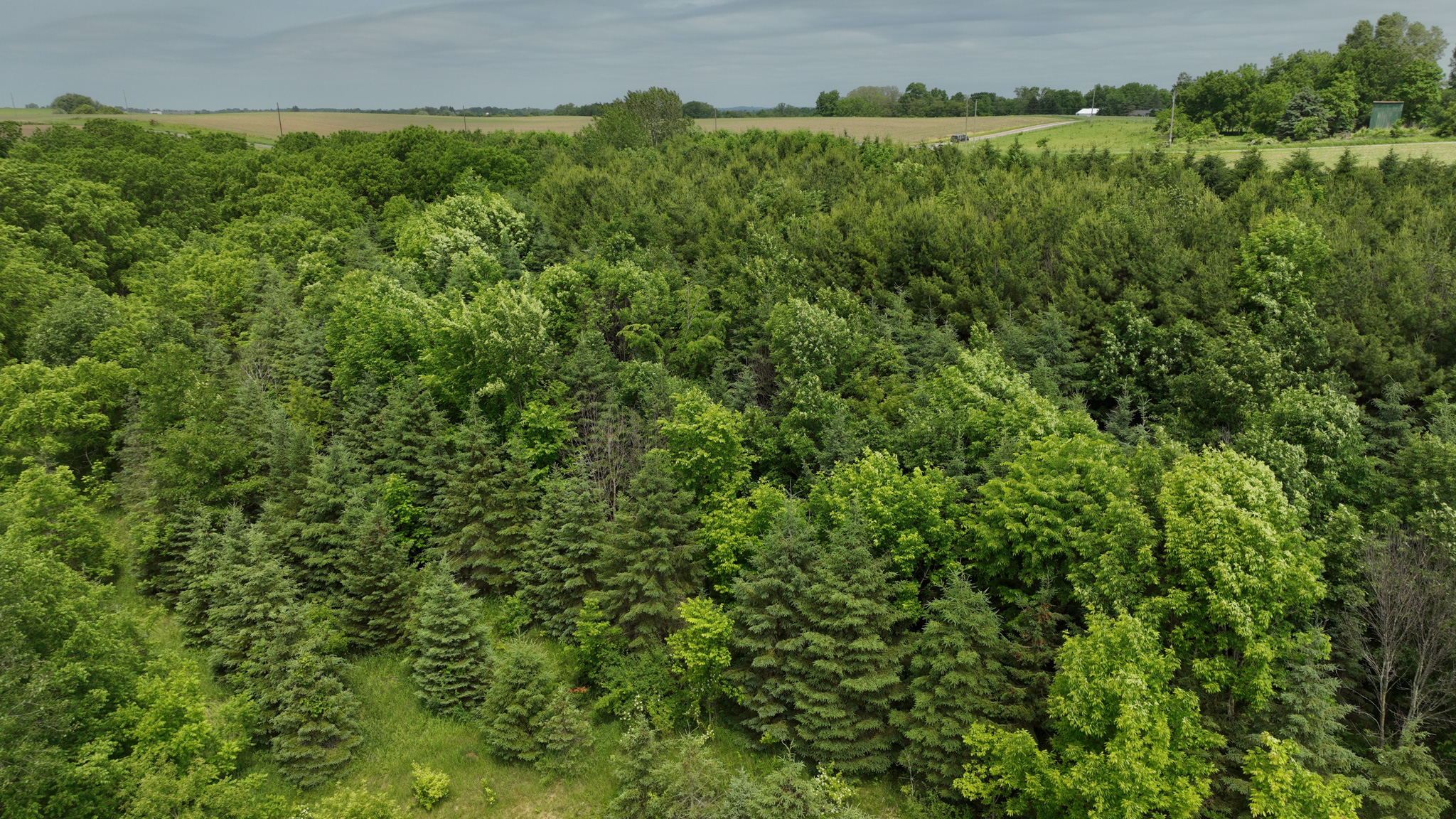 Recreational Paradise in the Driftless Area – 40-Acre Haven in Vernon County, WI