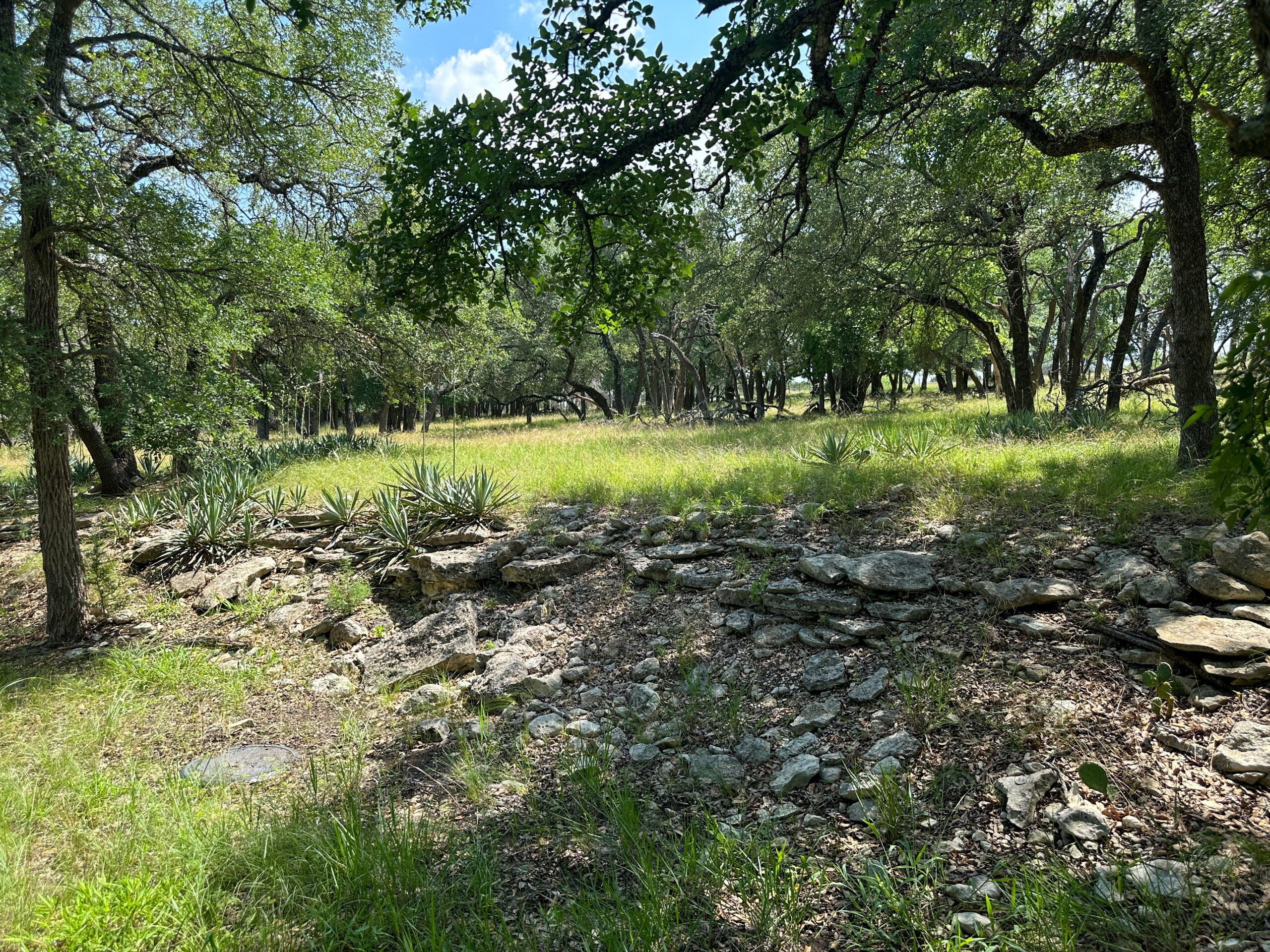 Own a Stunning Piece of Central Texas Land – Build, Hunt, or Escape