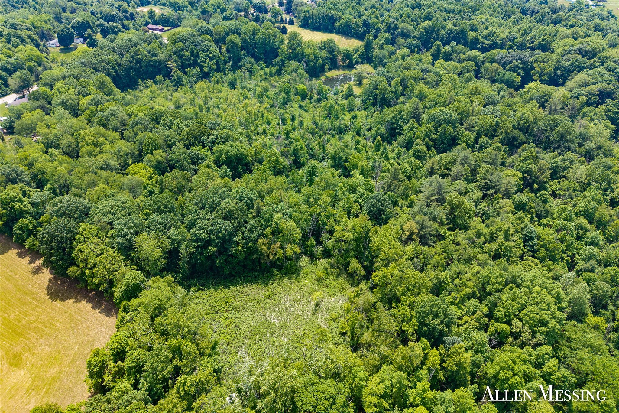 31+ Acre Property Excellent Hunting Habitat Allegan Cty MI