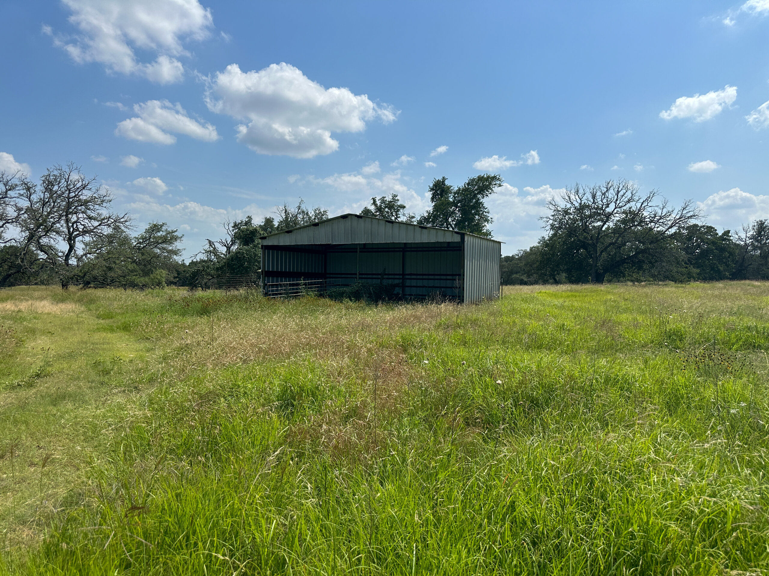 Own a Stunning Piece of Central Texas Land – Build, Hunt, or Escape