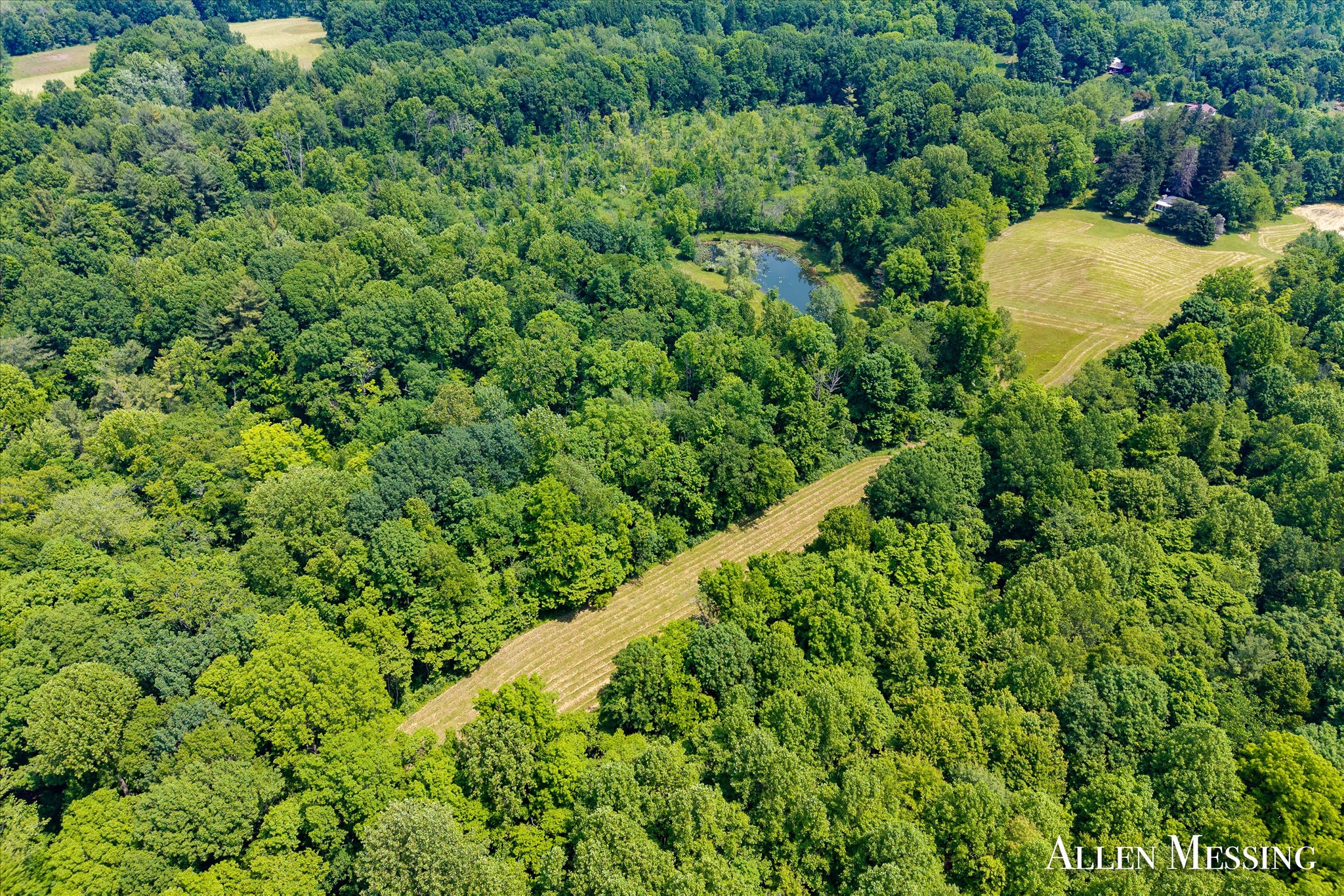 31+ Acre Property Excellent Hunting Habitat Allegan Cty MI