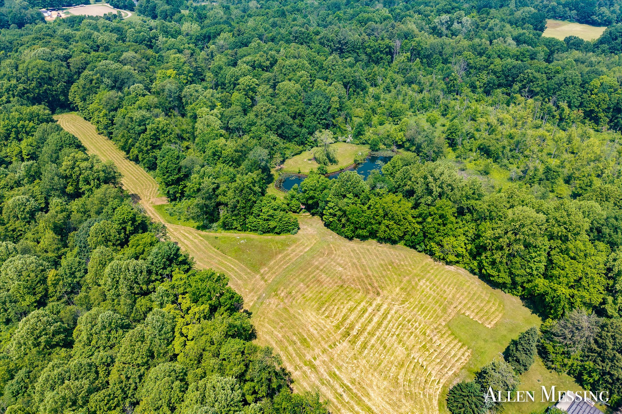 31+ Acre Property Excellent Hunting Habitat Allegan Cty MI