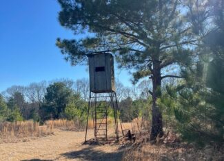Great Homesite and Hunting Tract in Hermanville, MS