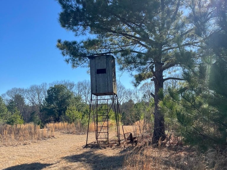 Great Homesite and Hunting Tract in Hermanville, MS