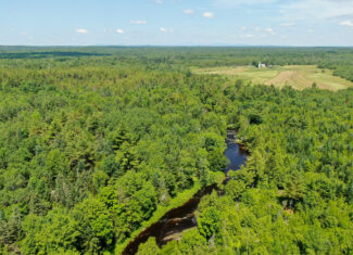 16.5 Acre Parcel with Stream Frontage