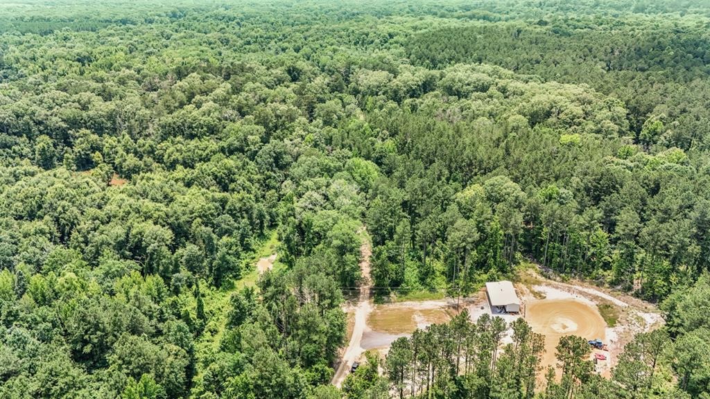 345 Acres with Camp, Creek bordering National Forest in SWMS