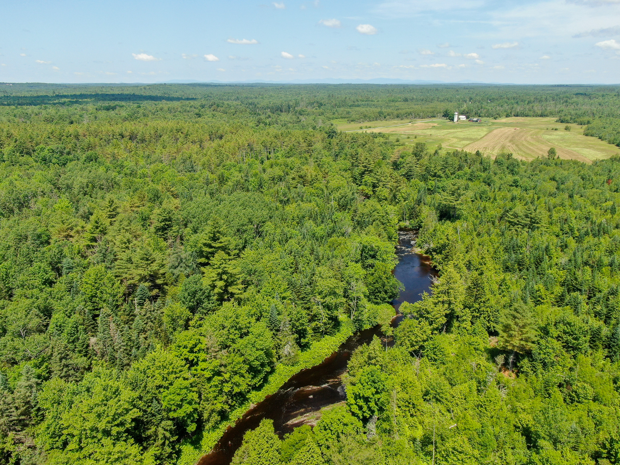 16.5 Acre Parcel with Stream Frontage