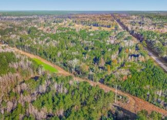 Land For Sale in Amite County, MS