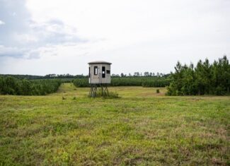 Mississippi Hunting Land – Easy 88 in Magnolia/Osyka