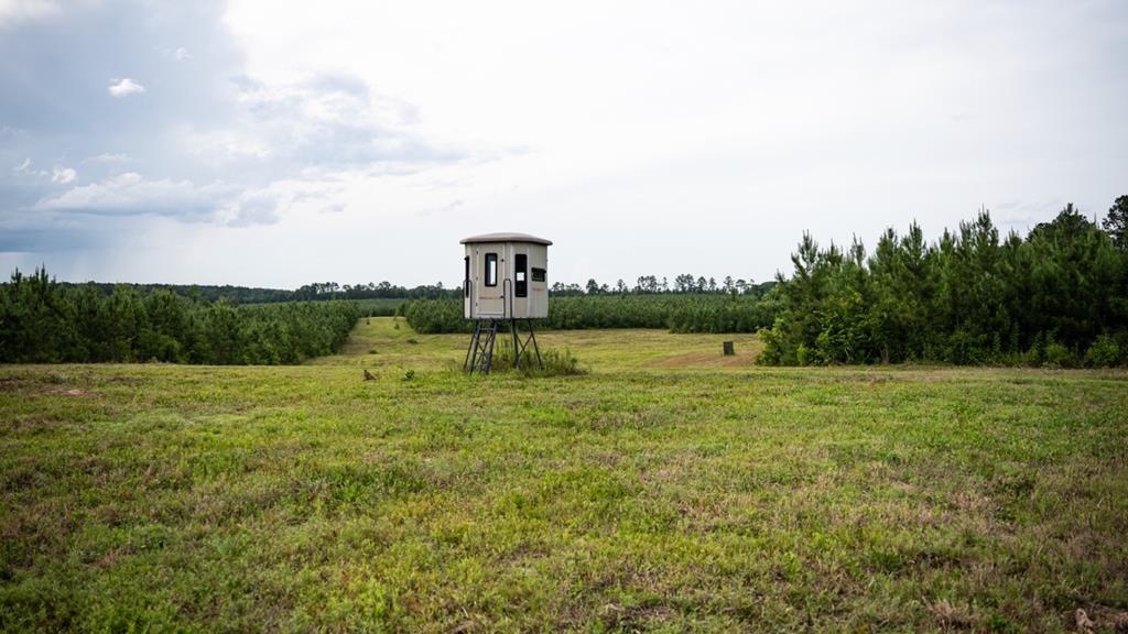Mississippi Hunting Land – Easy 88 in Magnolia/Osyka