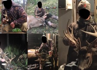Tensas Parish LA – The Glade Hunting Property