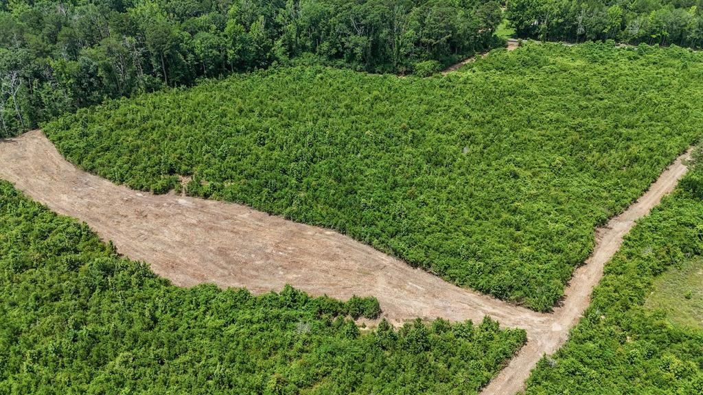 Small Hunting Tract FOR SALE in Amite County, MS