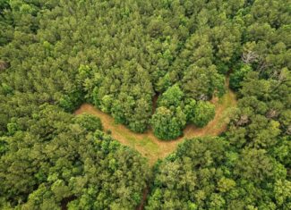 Hunting Land Near Homochitto National Forest, MS