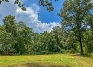 Hunting Land for Sale in Hinds County, MS