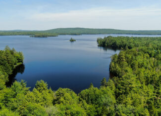 Lakefront Land for Sale – 12.52 Acres with 355 Feet of Shoreline