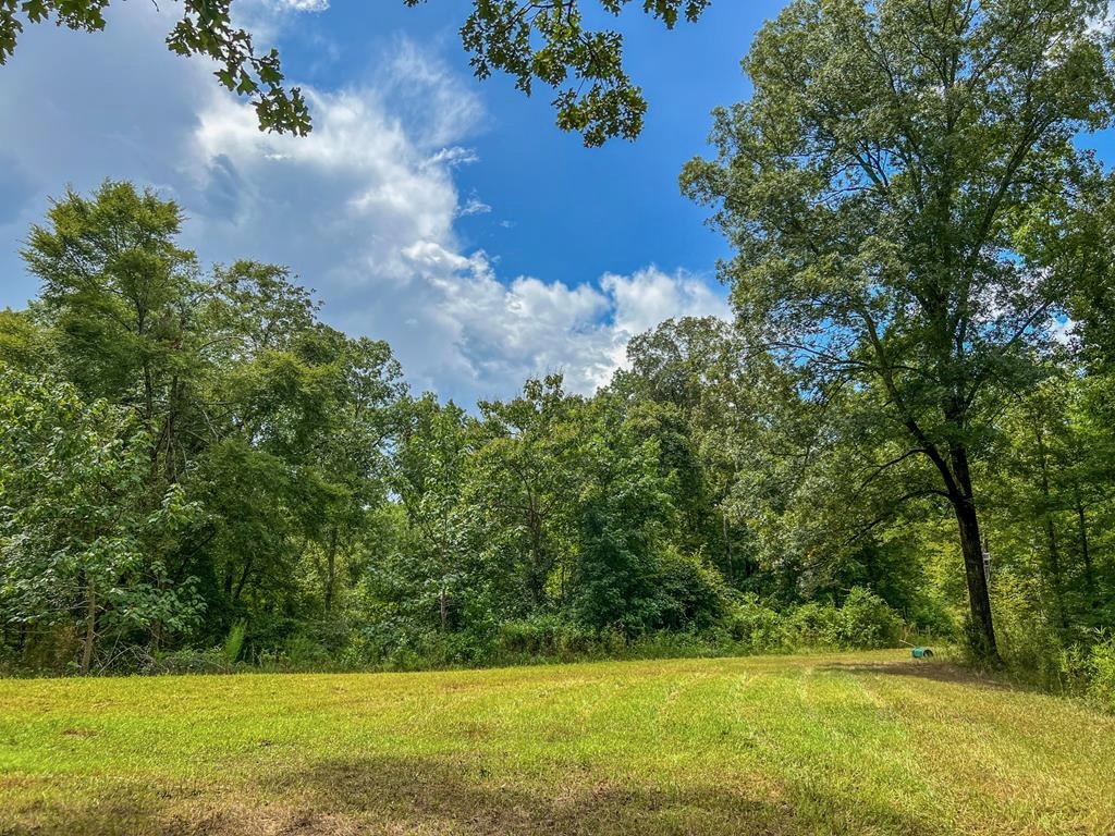 Hunting Land for Sale in Hinds County, MS