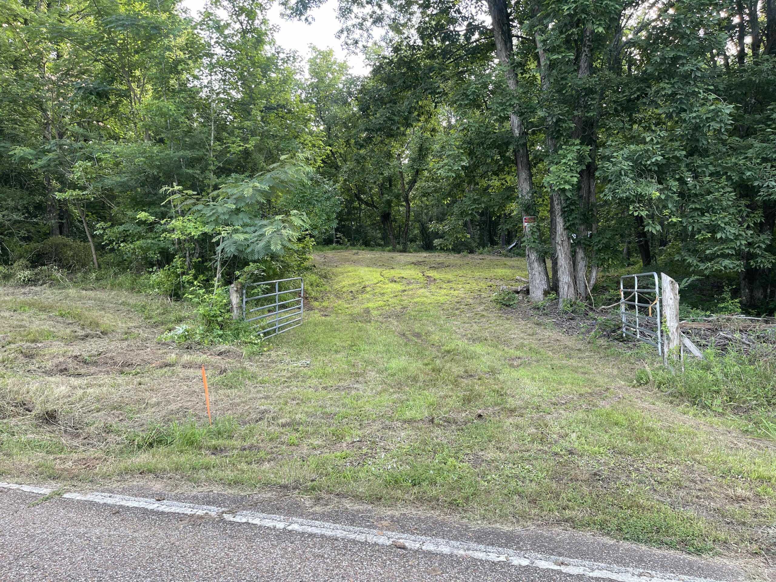 HUNTING LAND WITH SPRING / CREEK IN HARDIN COUNTY, 100 ACRES+/-