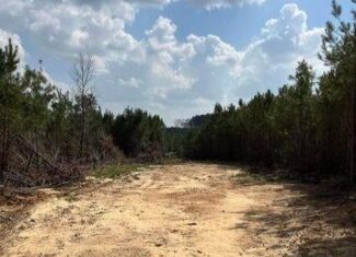 52 Acre Homesite Madison County Camden, MS